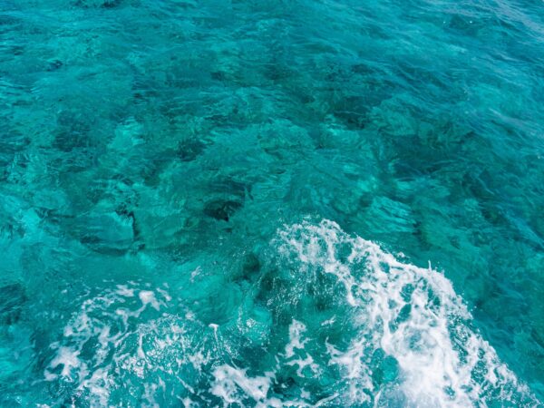 Traslado privado: origen El Cove, destino San Andrés