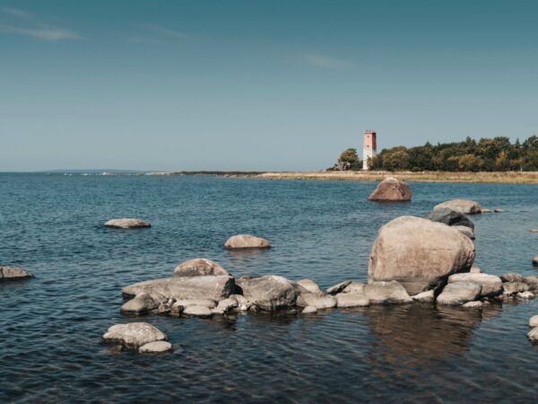 Transfert privé : Tallinn → Virtsu