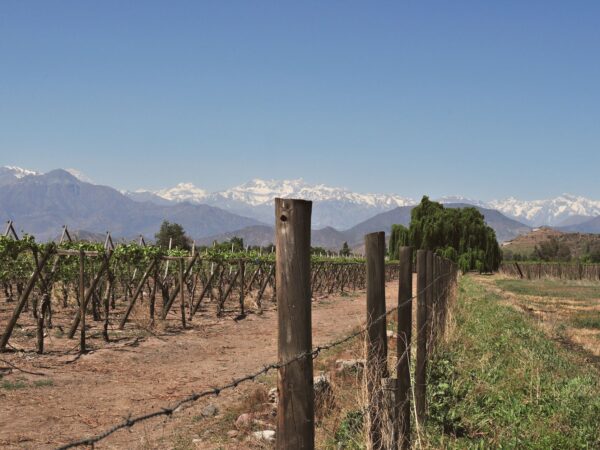 Transfer privado entre Coquimbo e Illapel
