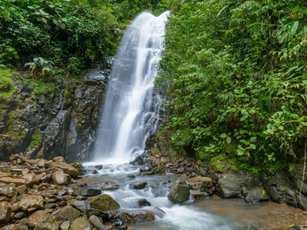 Traslado privado: origen San José, destino Guápiles