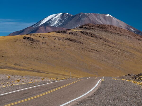 Private Transfer: Iquique to Lauca National Park
