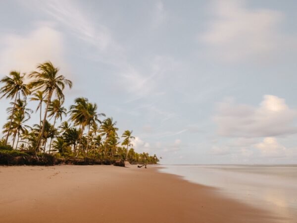 Traslado privado: origen Praia do Forte, destino Aeropuerto de Salvador