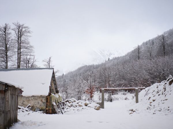 Traslado privado: origen Valbona, destino Podgorica Me