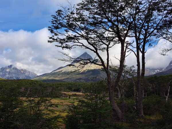Privattransfer: Bariloche – Nationalpark Lanin