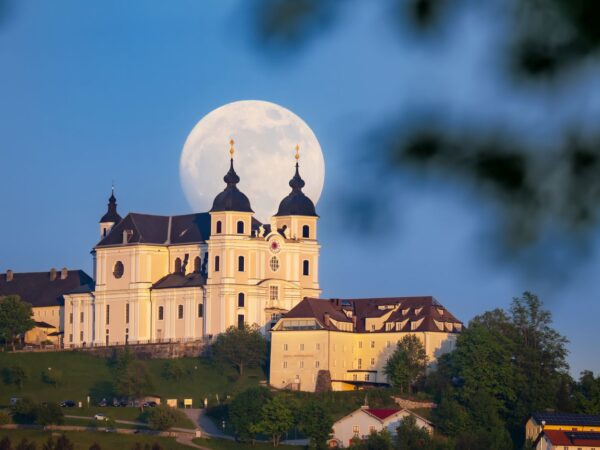 Private Transfer: Vienna Airport to Parndorf