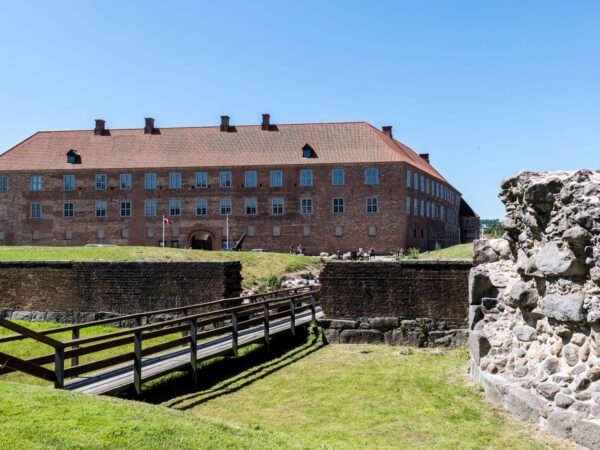 Transfert privé : Roskilde → Malmö, Suède