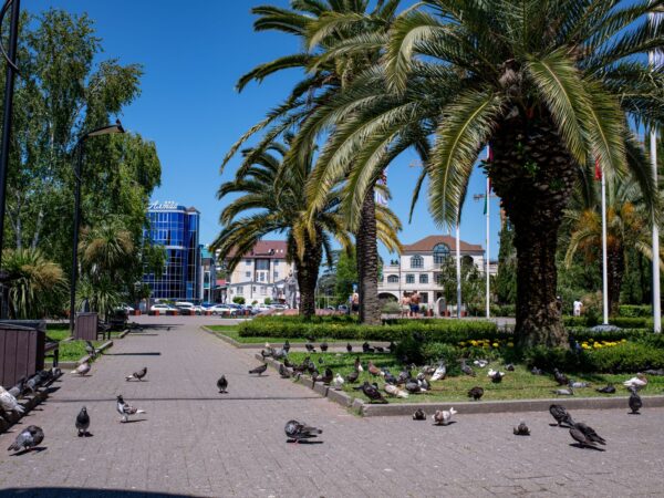 Traslado privado: origen Neltume, destino Temuco