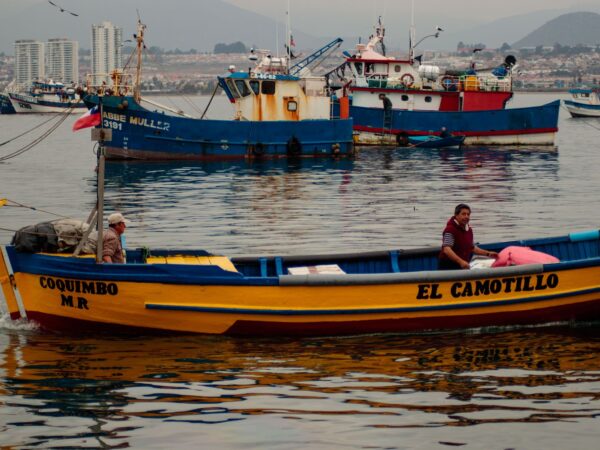 Private Transfer: Concepcion Chile to Coquimbo