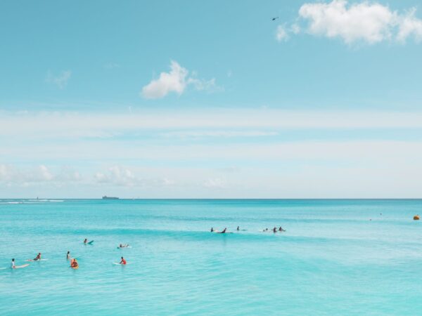 Transfert privé : Aéroport international Grantley-Adams → Long Bay