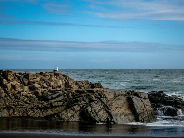 Privattransfer: Coquimbo – Pichilemu